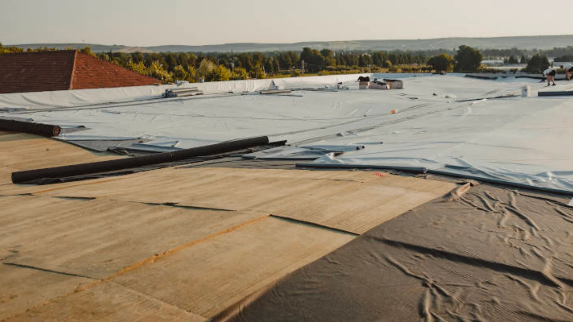 Emergency Tarp Dry In in Greenville, SC in Greenville